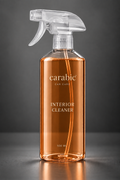 INTERIOR CLEANER